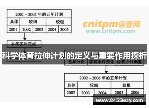 科学体育拉伸计划的定义与重要作用探析